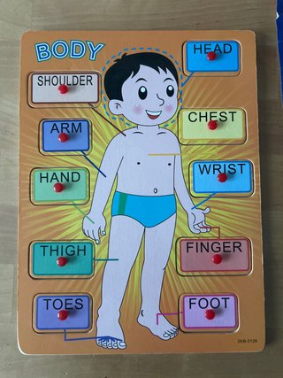 Puzzle de madera Cuerpo Humano