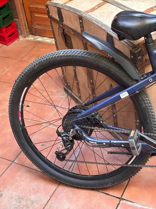 Bicicleta eléctrica Honor esla 29