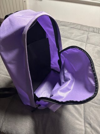 Mochila Eastpak Lila