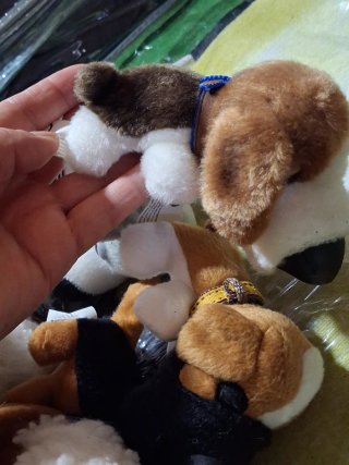 Colección Perritos Peluche 10 C/U