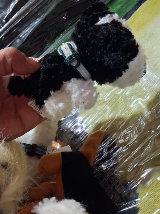Colección Perritos Dog