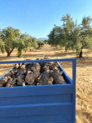 Leña para chimenea o barbacoa