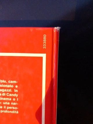 Il romanzo di candy