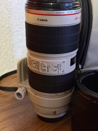 Canon EF 70-200mm f/2.8L IS II USM
