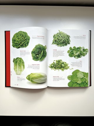 ¡NUEVA! La biblia de MasterChef