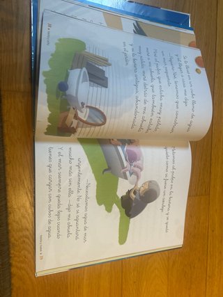 Libro de Lecturas 1o (Pequeño Noe)