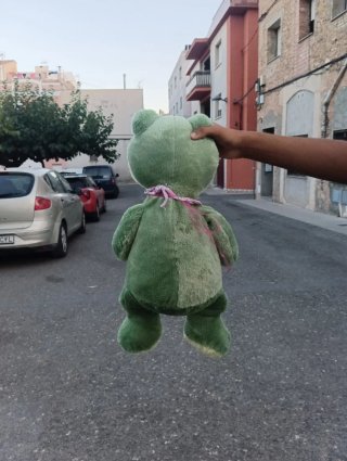 Peluche Rana Verde con Flores