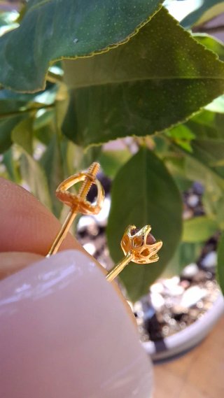 Pendientes Moissanita Zafiro Plata 925 GRA