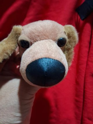 Peluche perro colección
