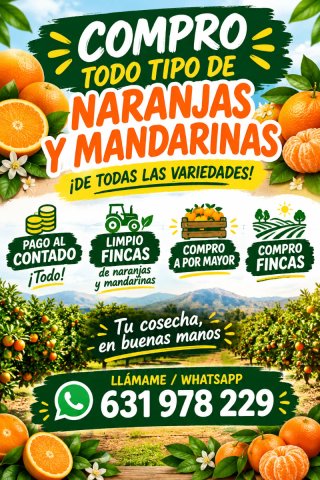 COMPRO MANDARINAS Y NARANJA Y FINCAS