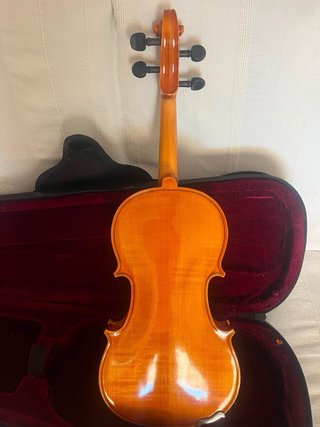 Violín con estuche