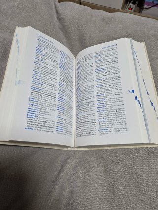 Diccionario Cambridge Klett Pocket Español-Ingl...