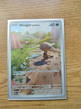 Pack Cartas Pokémon - Mint Español