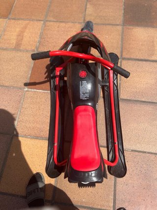 Trineo Yamaha Nieve