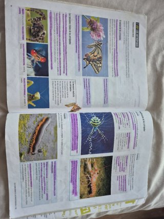 Proyecto: FanFest - Biología y Geología 1 ESO