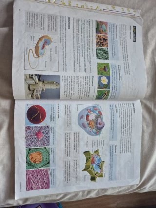 Proyecto: FanFest - Biología y Geología 1 ESO