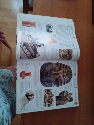 Historia visual del siglo XX
