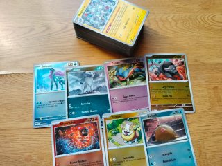 Caja Expositora Pokémon TCG + Lote 200+ Cartas
