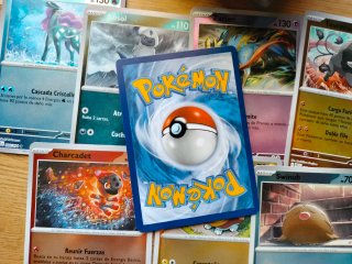 Caja Expositora Pokémon TCG + Lote 200+ Cartas