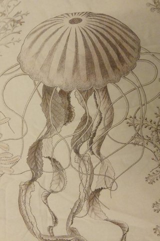 Funda nórdica 240x220 cm diseño marino