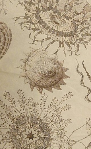 Funda nórdica 240x220 cm diseño marino