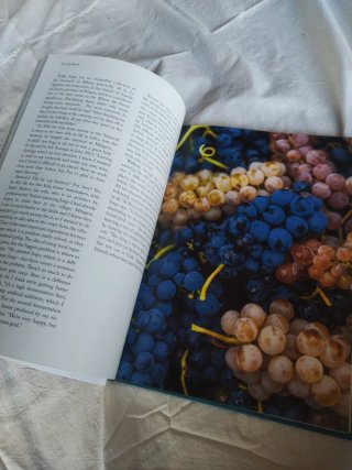 The New Vignerons A New Generation of Spanish W...
