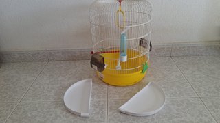 Jaula para pájaros con bandeja