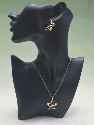 Conjunto de collar y pendientes estrella