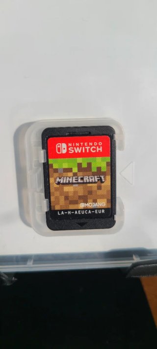 Minecraft Nintendo Switch