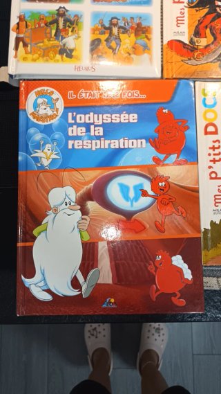 Cuentos infantiles en francés