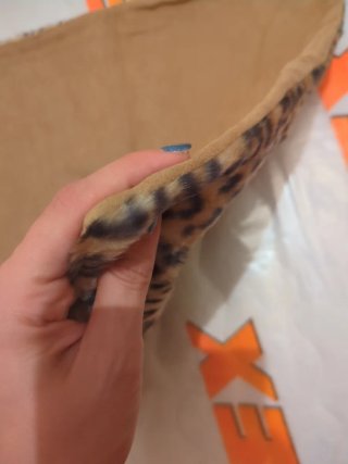 Funda cojín estampado leopardo