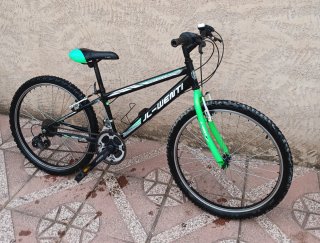 Bicicleta JL-Wenti 26” MTB
