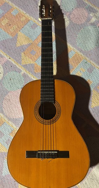 Guitarra española con funda