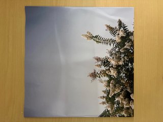Vinilo Deftones Private Music