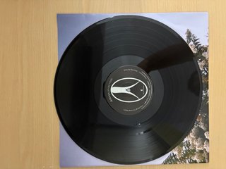 Vinilo Deftones Private Music
