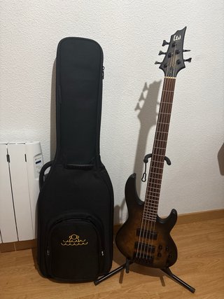 Bajo Eléctrico ESP LTD D5 5 Cuerdas