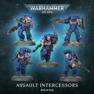 5 Marines Intercesores de Asalto Warhammer 40k
