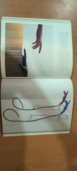 Libro Sexy Design - Max Rippon (Maomao Publication