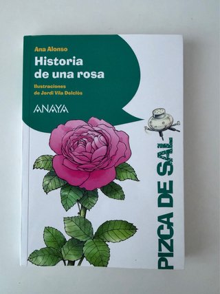 Historia de una rosa