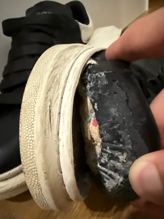 Sneakers Alexander McQueen