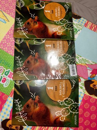 Libros de Biologia y Geologia de  1 ESO.