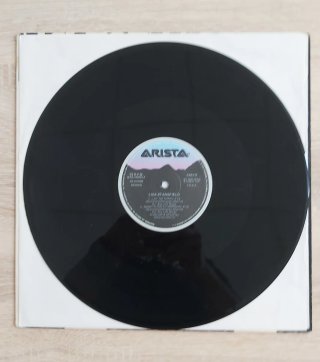 Vinilo Lisa Stansfield - What Did I Do To You?