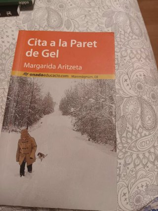 Cita a la paret de gel