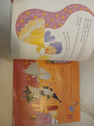The Princess and the Wizard