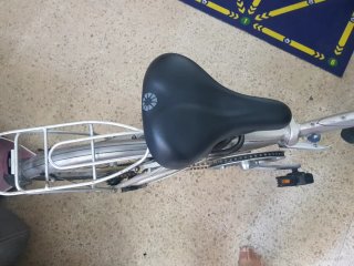 Bicicleta plegable DAHON usada