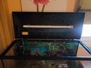 Acuario 100L con calentador, filtro y luz