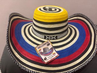 Sombrero Vallenato Colombiano Multicolor