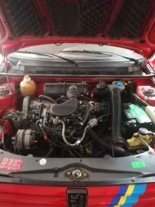 Peugeot 309 1991