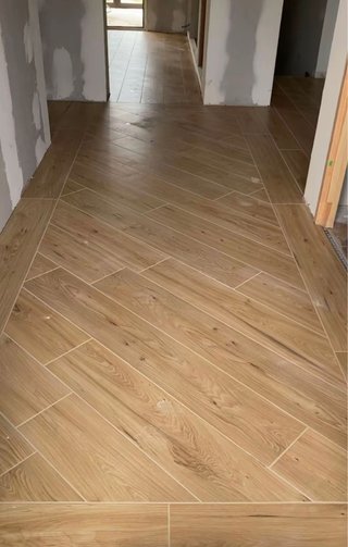 Reforma albanil bano plador puntora parque