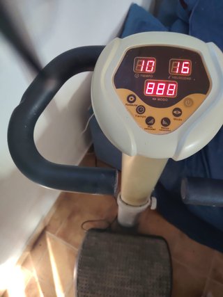 Plataforma Vibratoria Profesional